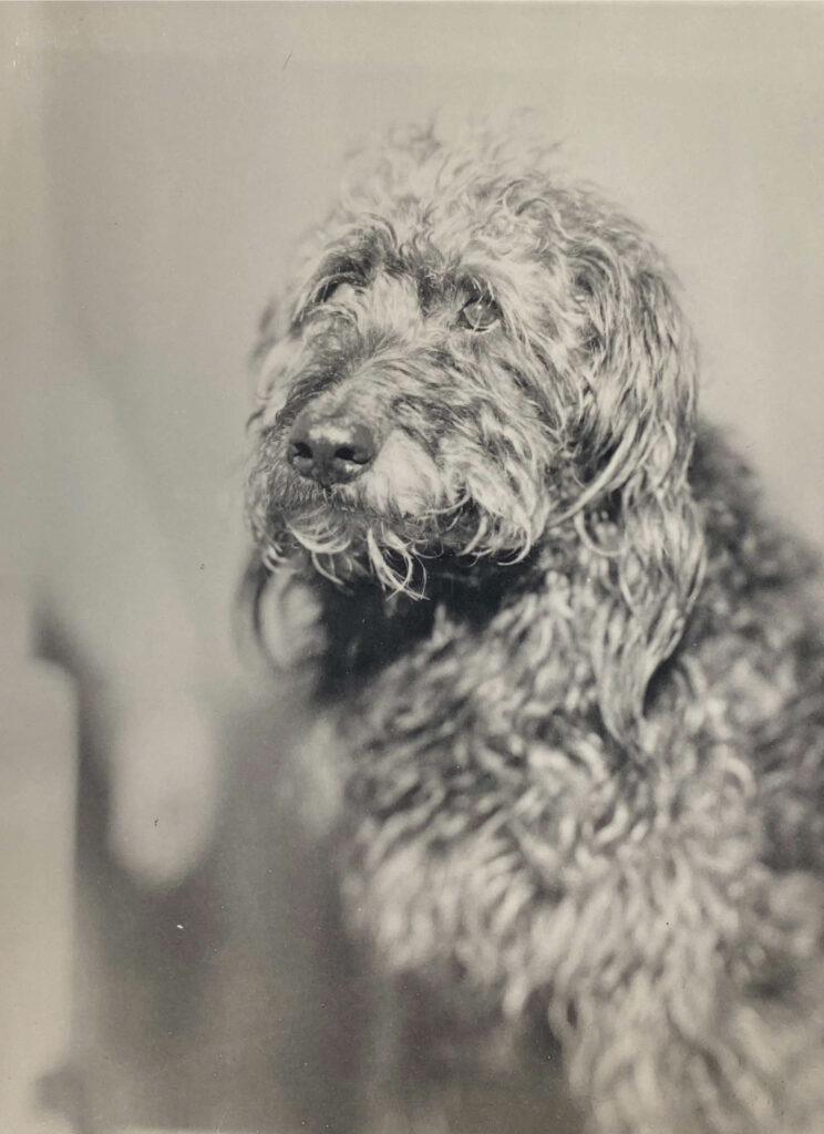 Мой друг Зурик